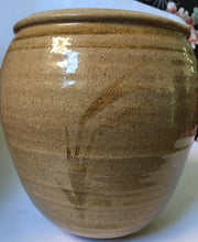 Load image into Gallery viewer, Bryan Haden (South African) stoneware Ceramic Vase Studio Art Pottery - Hand Painted
