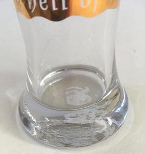 RITZENHOFF H.CHRISTIAN SANDLANDER "it's a hell of a game" WORLD CUP beer glass