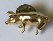 Load image into Gallery viewer, Piggy Pin gold plated CAMCO pig
