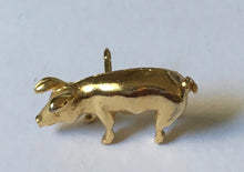 Load image into Gallery viewer, Piggy Pin gold plated CAMCO pig
