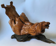 Load image into Gallery viewer, RARE John Maltby Driftwood wooden &quot;shell&quot; abstract sculpture Signed J. Maltby
