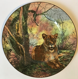 Royal Doulton ''African Series Lioness African Game Reserve" D 6360 Rack Plate