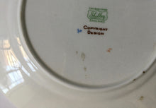 Load image into Gallery viewer, Shelley 1920s  Mabel Lucie Attwell Nurseryware plate Art Deco Rare Nursery ware
