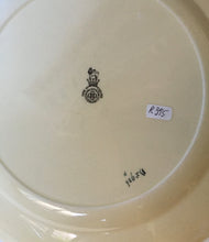 Load image into Gallery viewer, Royal Doulton &quot;The Doctor&quot; rack plate from &quot;The Professionals&quot; series D 5906
