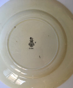 Royal Doulton "The Doctor" rack plate from "The Professionals" series D 6281