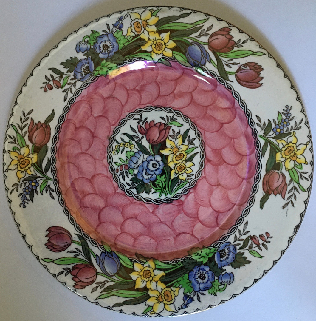 Maling Luster Cabinet Plate Pattern 6525 c.1930s Newcastle stoke-on-trent