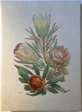 Load image into Gallery viewer, Alexander KLOPCANOVS (1912-1997) Protea oil Painting on Canvas (South African Artist)
