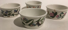 Load image into Gallery viewer, Portmeirion THE BOTANIC GARDEN Susan SUSAN WILLIAMS-ELLIS Four Large Ramekins - boxed
