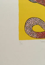 Load image into Gallery viewer, Phumelene Nene Bird print in colours &quot;Harrier and cobra&quot; 9/45 c.1991
